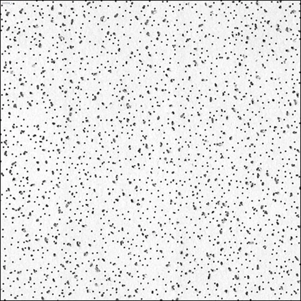 5/8" - 2' x 4' RADAR CLIMAPLUS FIRE CODE CEILING TILES (8 PER BUNDLE) - Kilrich Building Centres