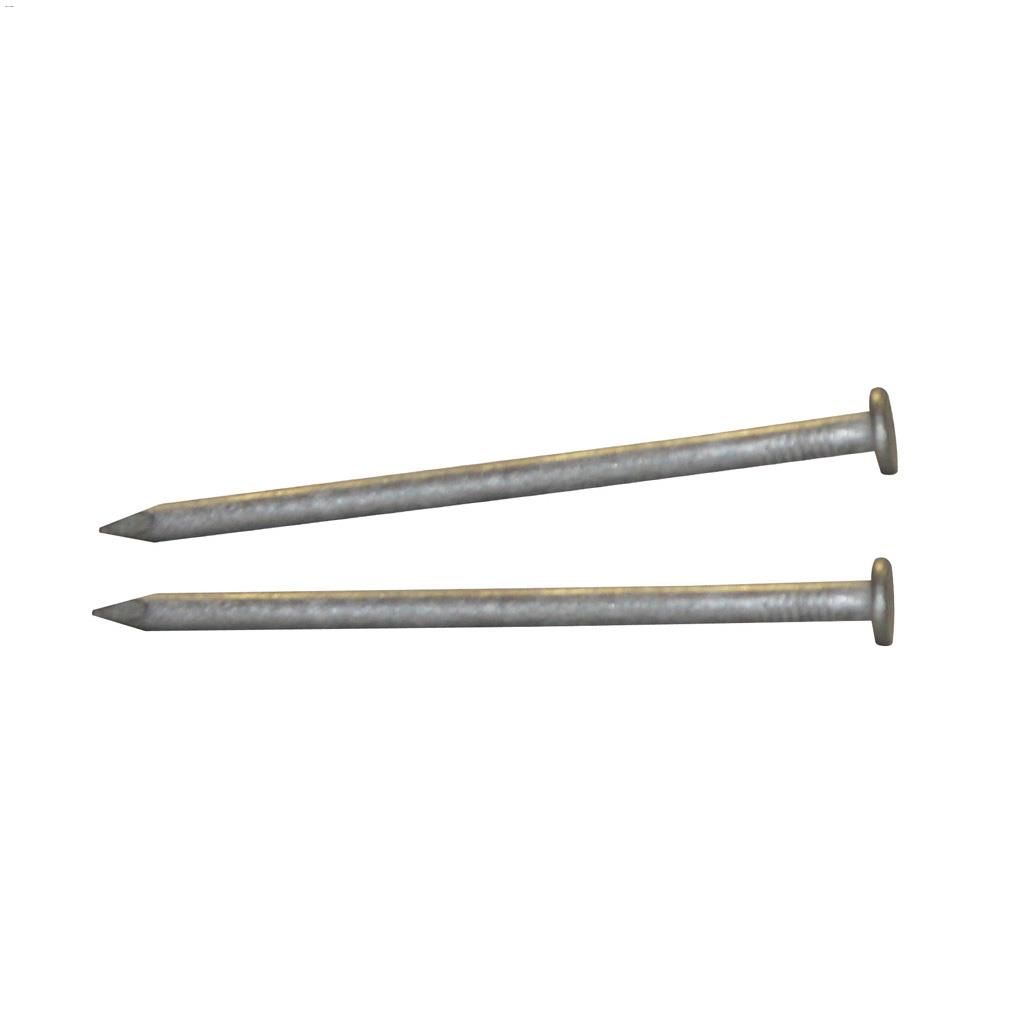 3-1/2" HDG COMMON NAILS - GALVANIZED (1 LB. BOX) - Kilrich Building Centres